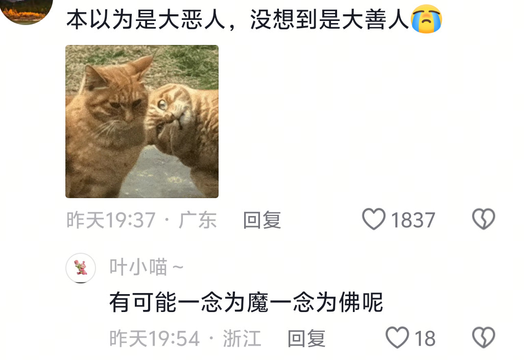 以为是爱狗人士结果是爱心人士要笑死我了，谁能想到结局这样😂大哥一直在善良和害怕