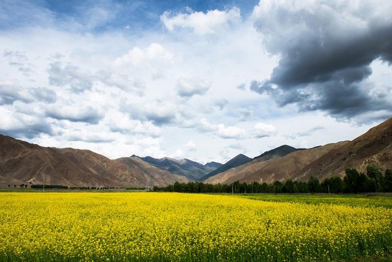 要说一年四季哪个季节景色最美,这还真难有定论,毕竟各有千秋。春天是万物复苏的希