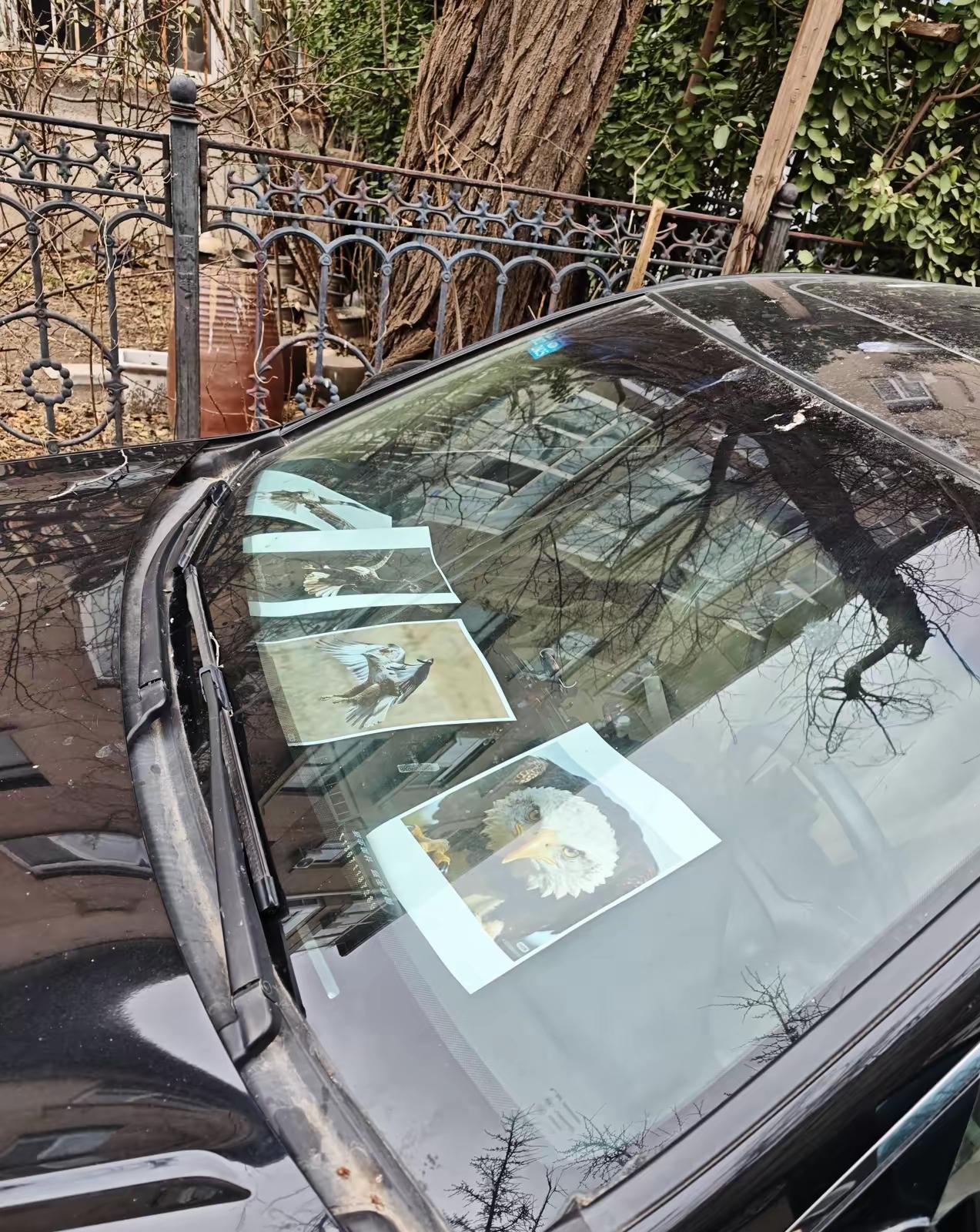 为了防止鸟屎也是什么招都用了[捂脸哭]