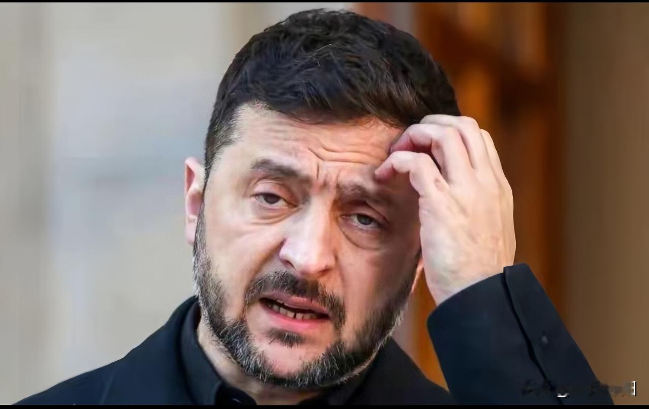果不其然！泽连斯基彻底妥协？战争可以输了，自己可以下台，北约可以不入，欧盟也