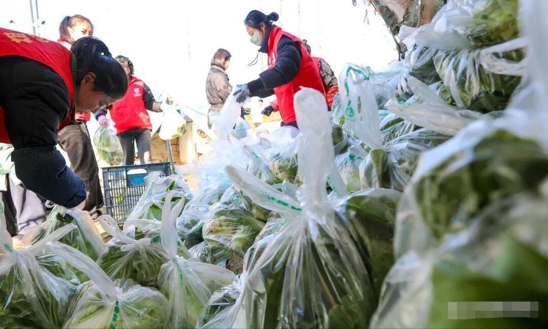 泪目！29岁儿子突然离世，六旬父母守着40亩烂菜哭到崩溃，谁知一天后奇迹发生了！