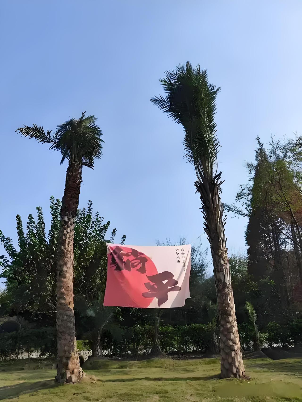 西郊的公园，日落西山后，也恢复了少有的宁静。