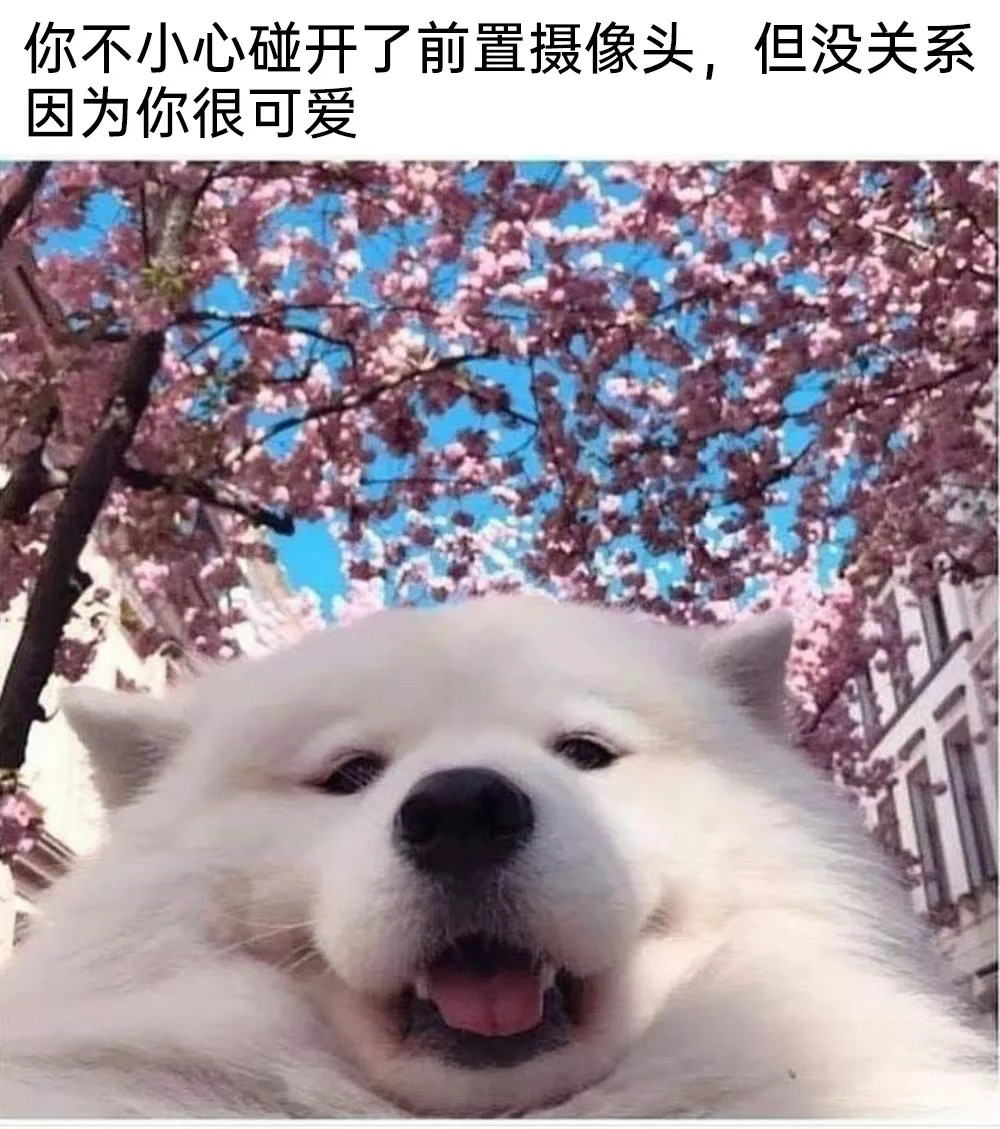 分享图片​​​