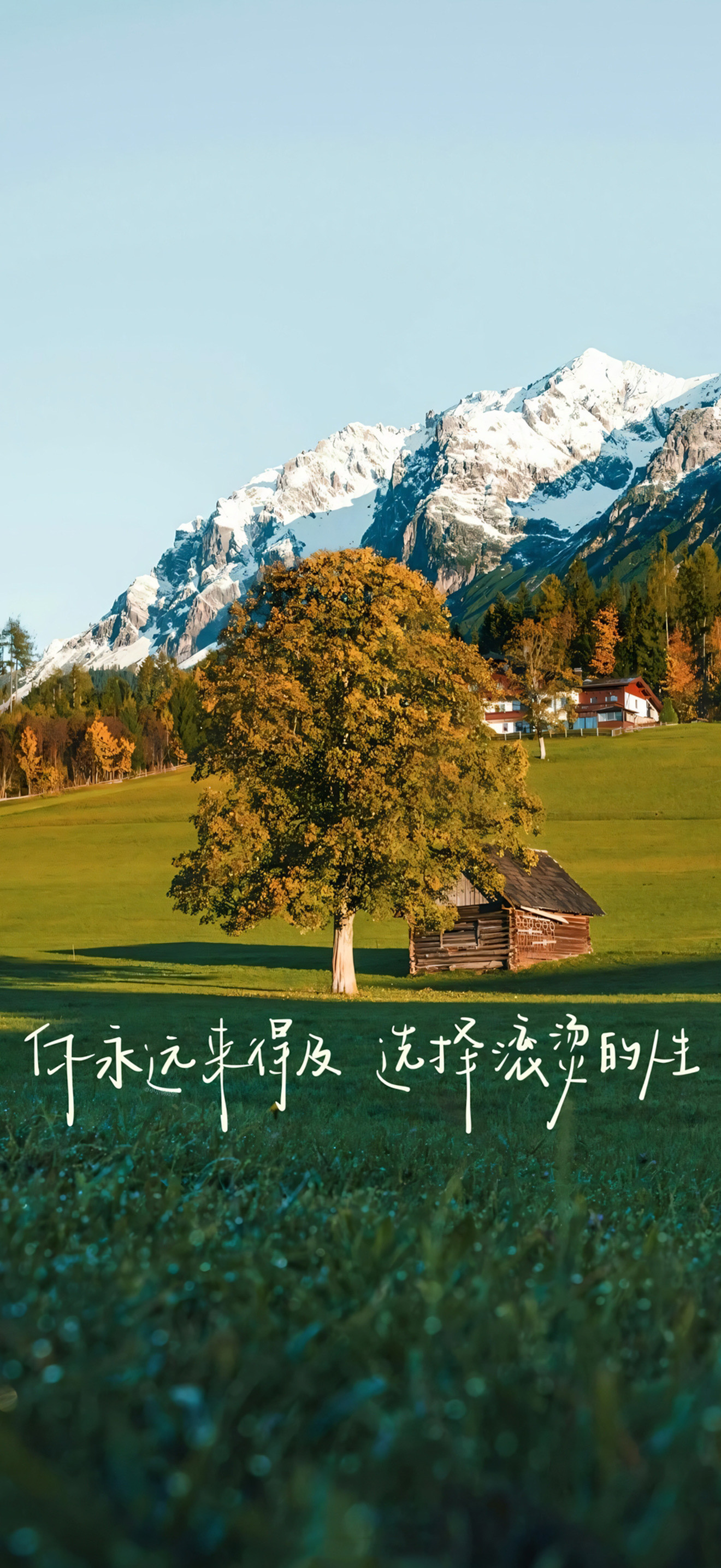 文字风景壁纸释放自己