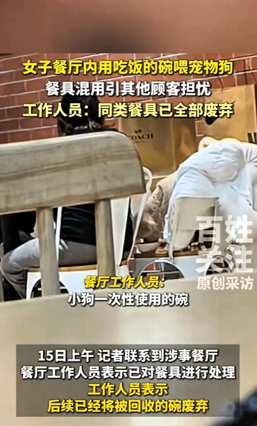 真的太不膈应人了！12月14日，北京一女子吃饭时，发现邻桌的客人正用盘子给狗喂