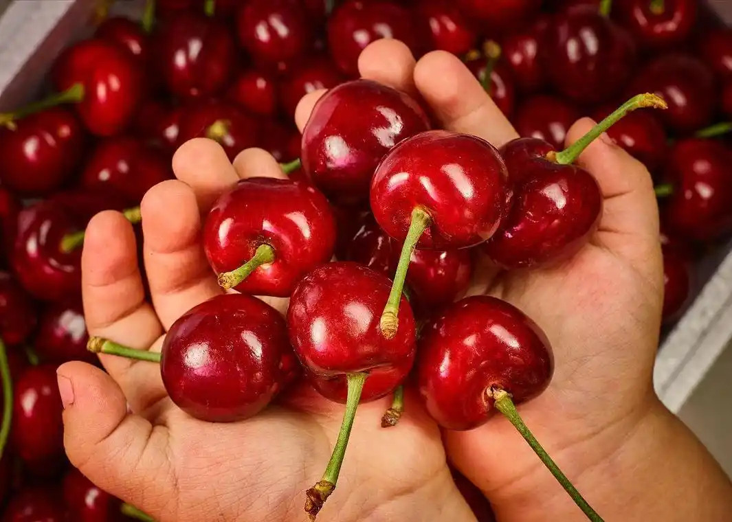 你们今年吃车厘子了吗？我还没吃呢，不过看了这个有点搞笑了，降价原来是以小充大啊？