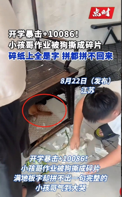 “笑麻了！”8月21日，江苏徐州，一女子睡觉时听到客厅传来动静，于是出来查看情况