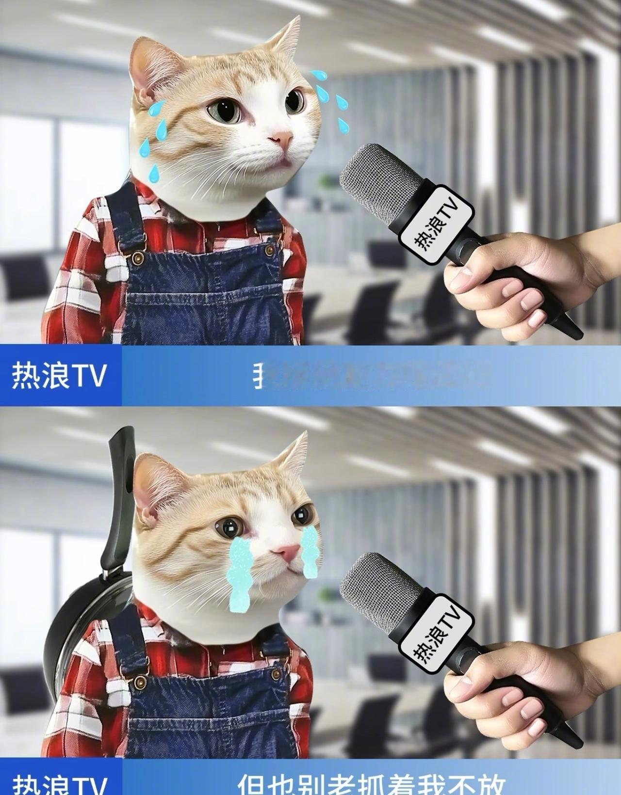 梗图大放送​​​