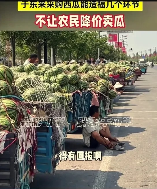 于东来才是真正怕“谷贱伤农”的商人！他去瓜农那儿采购西瓜，一看瓜这么好，切开一尝