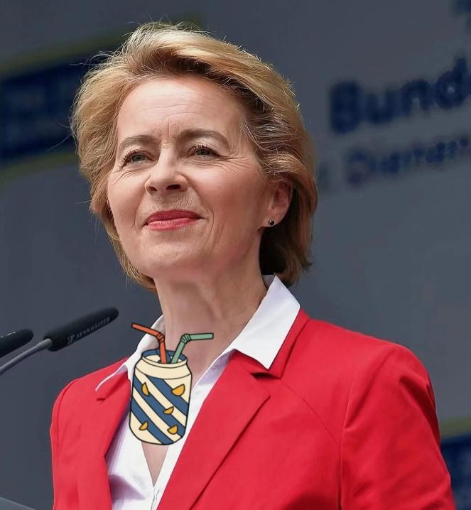 冯德莱恩疯了？2026年1月14日，冯德莱恩这回可是玩大的，张口就要发债筹集