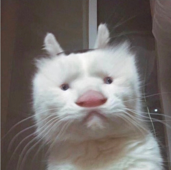 有个朋友发表感慨，这些年炒a股全炒马斯克身上了。以前炒光伏，马斯克搞了太阳城。炒