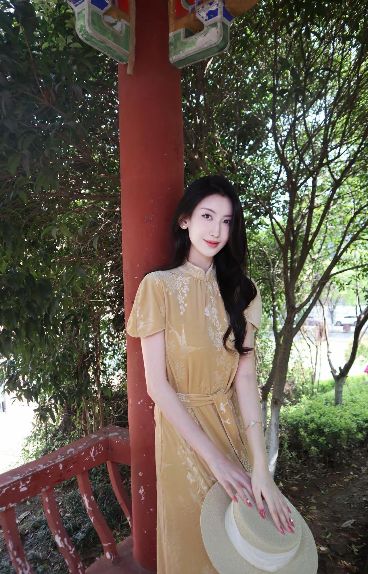 藤树下我是我的春天分享照片