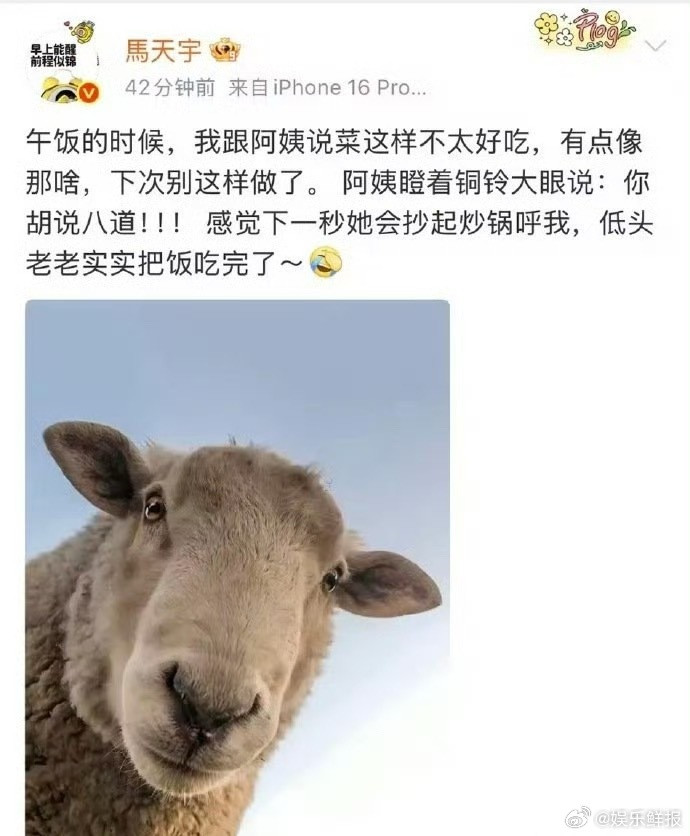 马天宇这么大人了还被阿姨训斥也是看到雇主被阿姨训上了[笑着哭]马天宇是真没招了