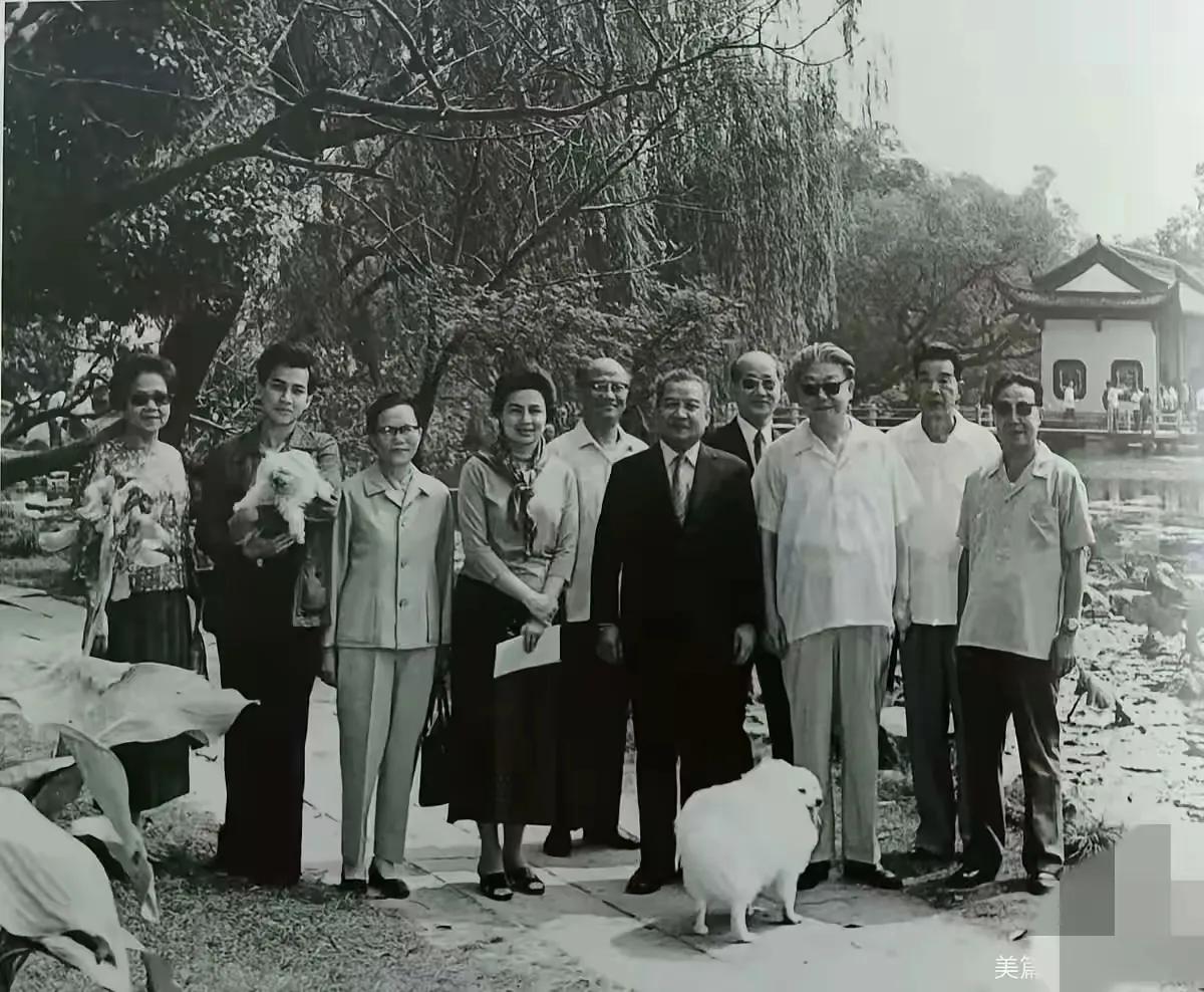 西哈努克的宠物狗还游过杭州西湖，跟着两条宠物狗同龄的很多人都没有游过杭州西湖。