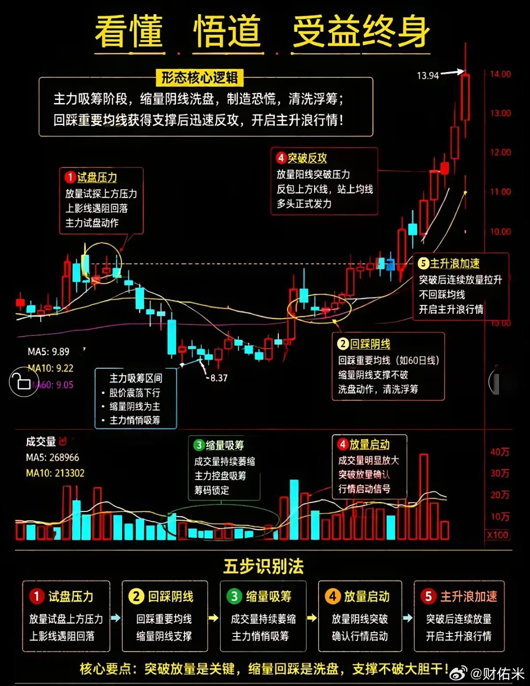 看懂悟道受益终生。