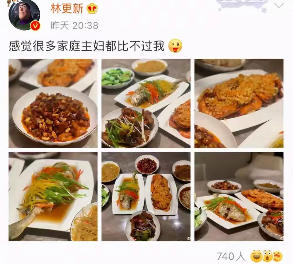 林更新:感觉很多家庭主妇都比不过我林更新这是要向全网的家庭主妇发起挑战吗？晒了