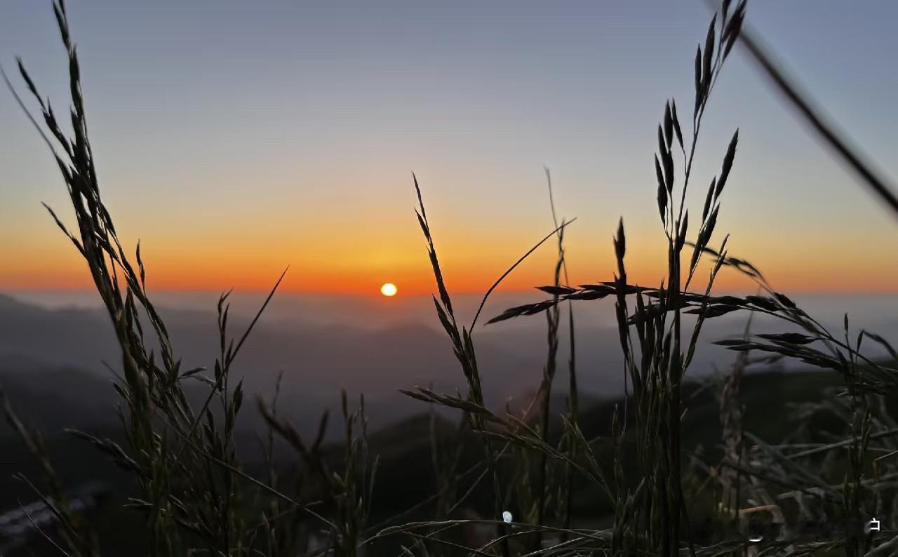 成功登顶武功山，目睹了翻涌云海的壮美，本应是一场值得珍藏的旅行记忆，可下山时的糟