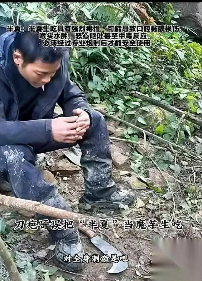 完了完了！刀疤哥又翻车了！这次不是拳台，是厨房！他把半夏当魔芋啃，一口下去直接原