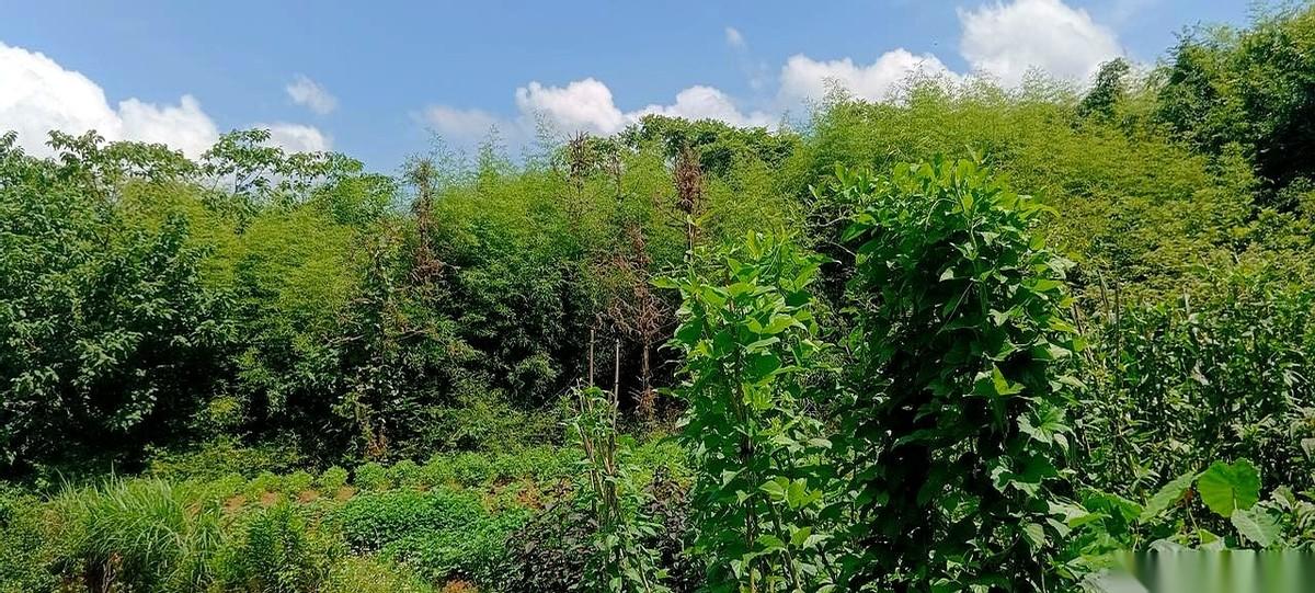 单位一个老同事，刚满55岁，办了内退。手续办完第二天，就在外面摆了一桌，请了领