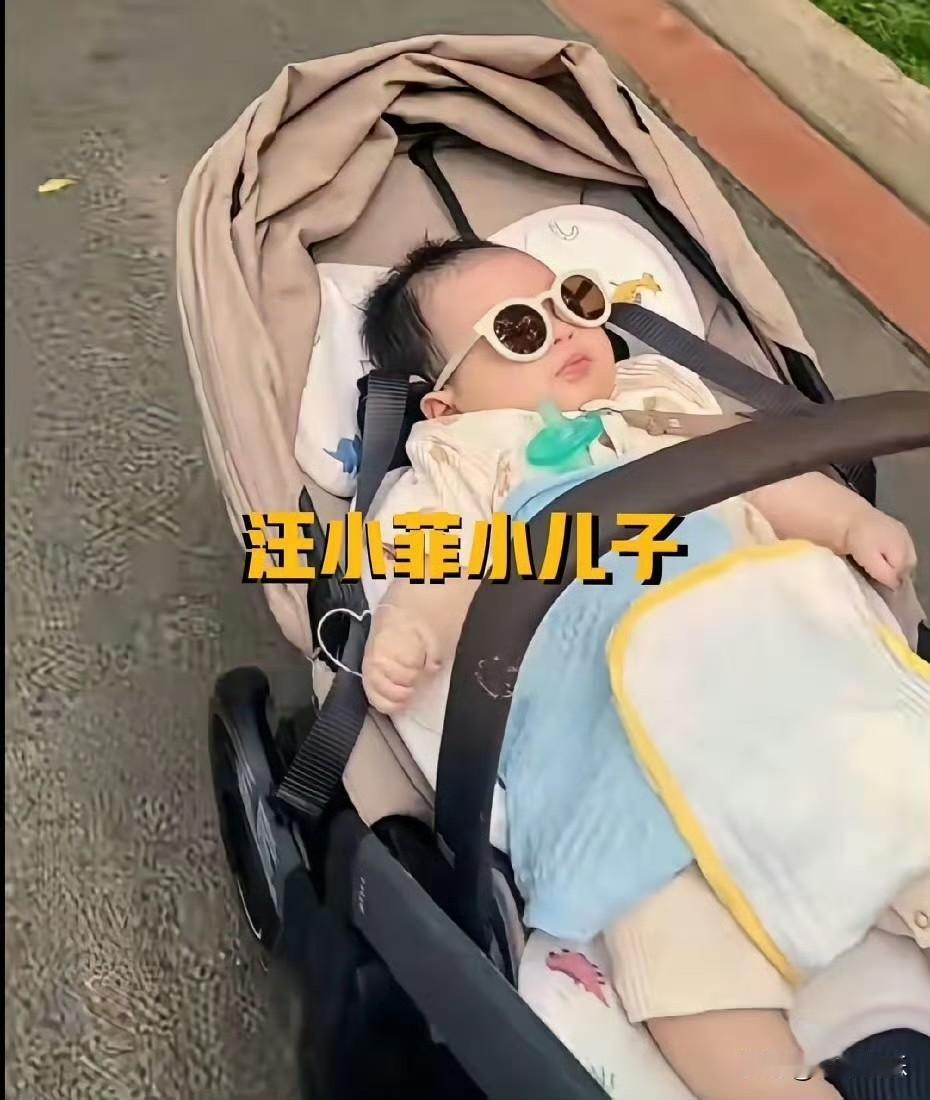 马筱梅带娃去公园遛弯，小汪宝戴着墨镜，躺在婴儿车里面好乖。小家伙3个多月身形很