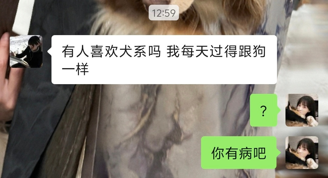 群友每天冷不丁来一句我真笑没招了