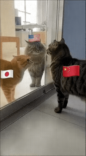 简直一模一样[呲牙笑][呲牙笑][呲牙笑]千万别怂呀