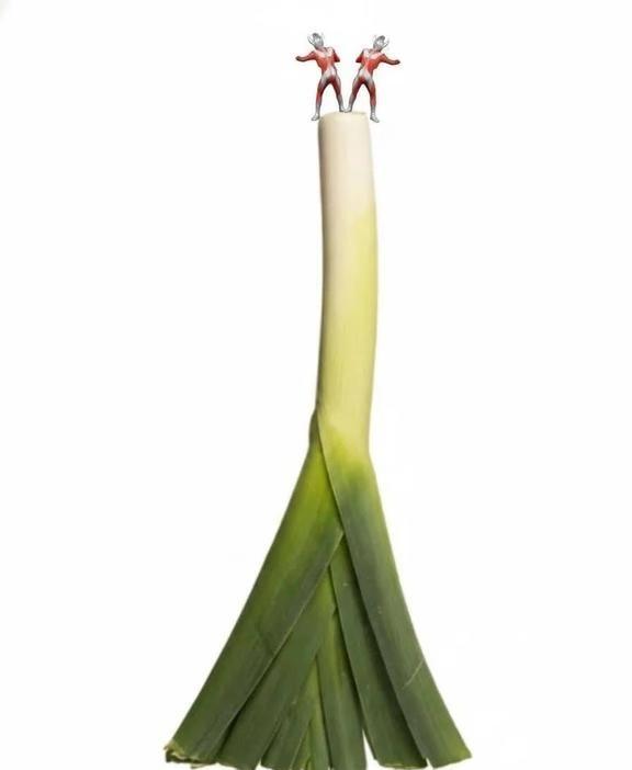 已经抽象成这样了庄方宜明日方舟终末地梗图