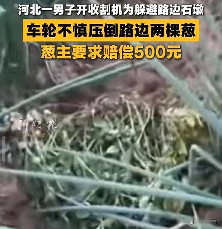 河北邯郸，男子的朋友开收割机去村里干活，生产路不到2米，他为了躲避石墩，倒车时车