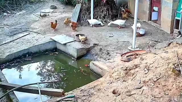 必至于死地啊，弄到水里，还要压住，何其歹毒