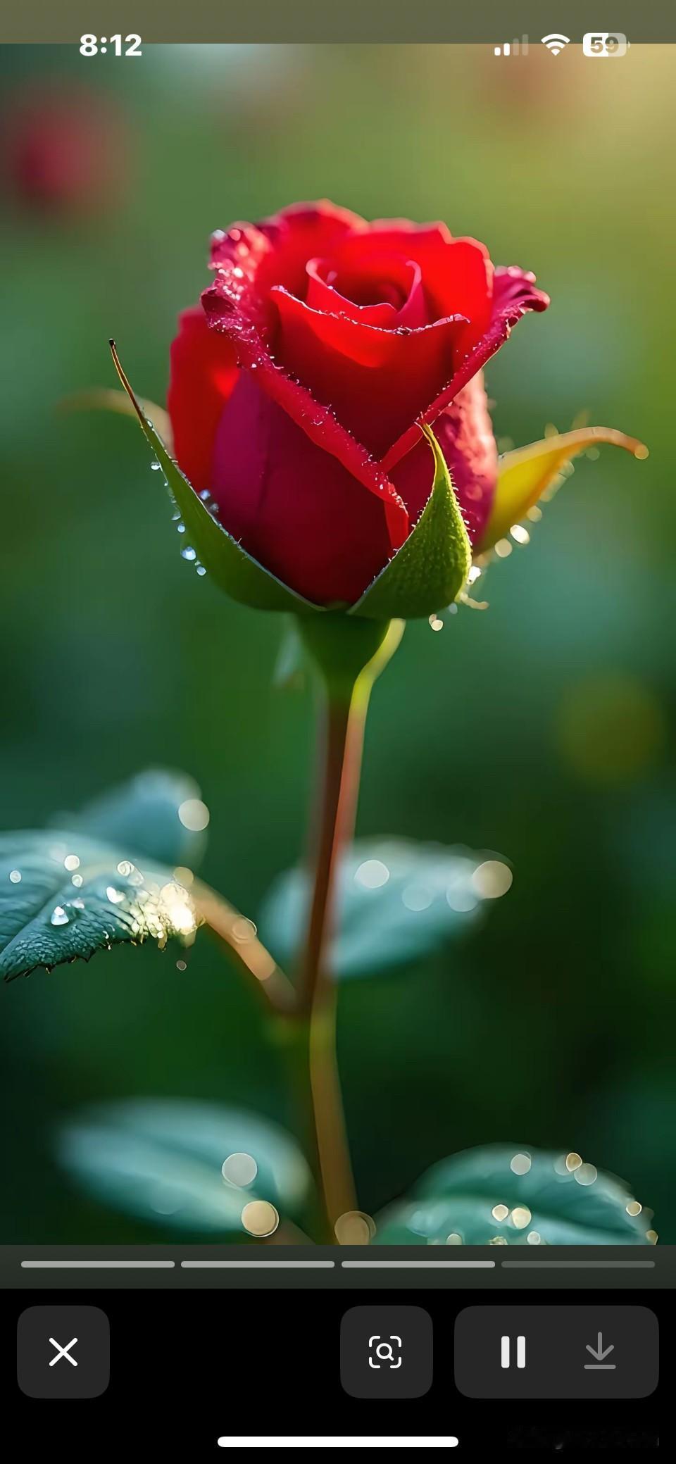 邻居小妹妹，今年都快30的人了，介绍了好几个对象，都没有成功。小区的好心人，再