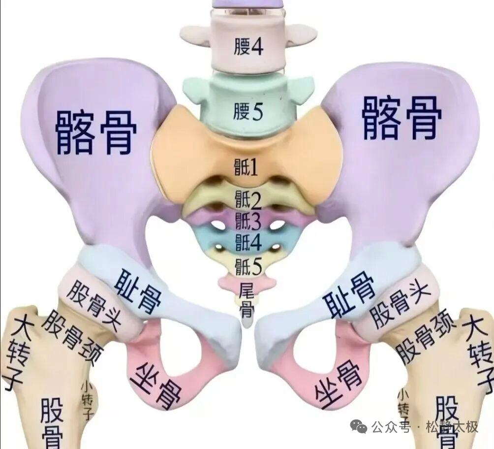 站到第四个月，我摸到骨盆上那道缝了站桩第四个月，有天早上后腰下方突然有一丝松