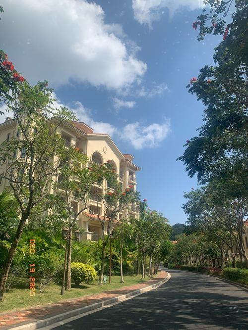 海南一封关，情况大逆转我单位小王今天给领导提出要辞职，她是后勤临聘人员，当初托