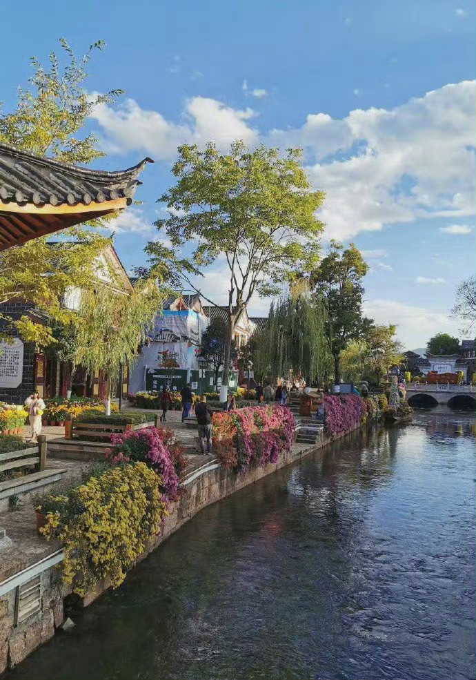 繁花似锦的大美丽江，四季如春！