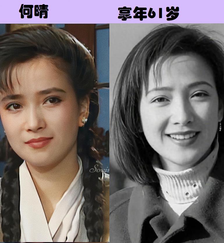 但愿这是一条假消息，2025年再添噩耗，年仅61岁的何晴去世。算上何晴，这一年