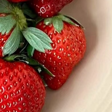 草莓种植1.时间：春秋栽种，15-25℃最佳2.土壤：疏松微酸土，加有机肥，