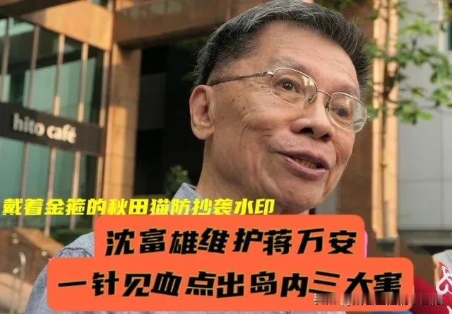 前绿委罕见维护蒋万安！沈富雄点出岛内比台风更可怕的“三大害”，可谓一针见血：作