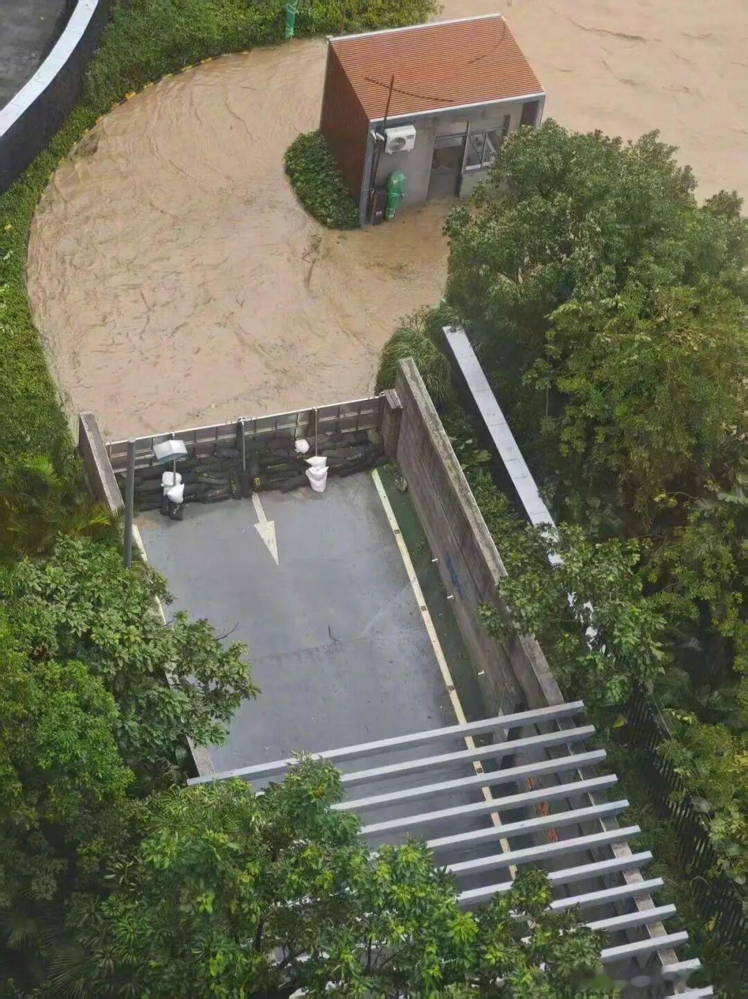 这物业费才叫交得值迷惑行为大赏​​​
