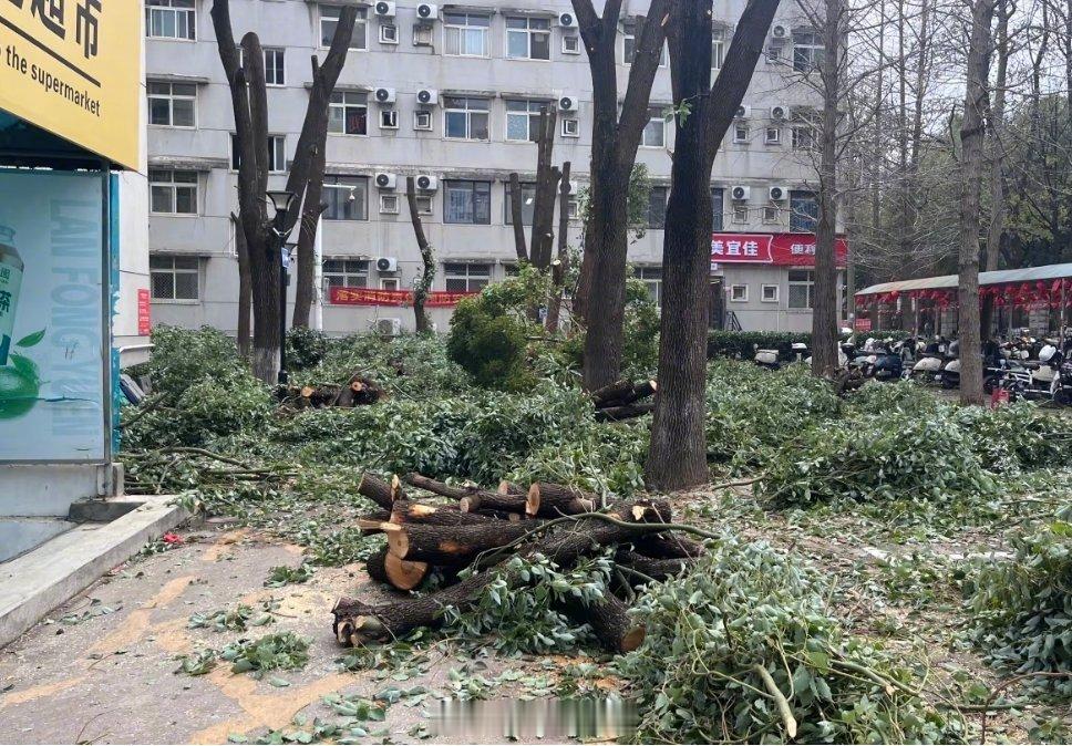武汉武汉真是被冻雨搞怕了，全城进入防冻雨模式全武汉已进入除冰雪战斗模式武汉