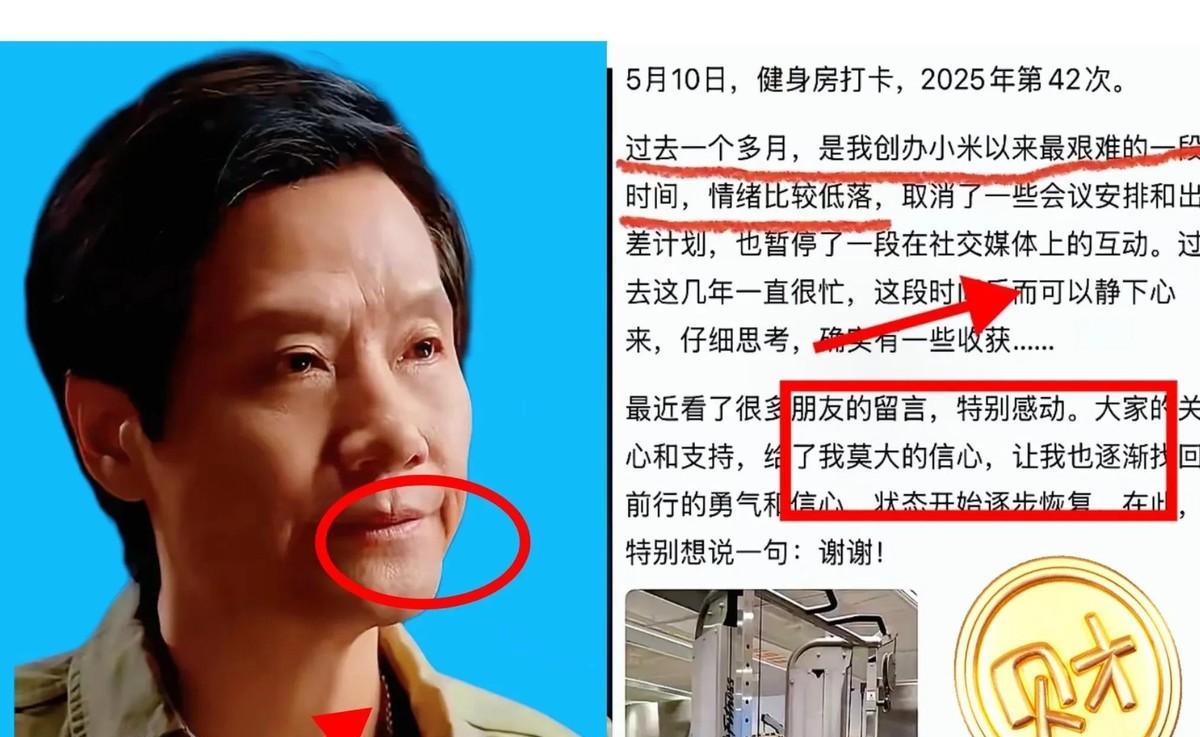 刚刷到消息，我发现雷军去意已决！雷军说自己现在处于最难的时候！这事儿确实挺蹊跷