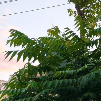 凡事发生皆有利于我。所有事情的发生，都是锻炼你，推着你成为更厉害的人。所以事发生