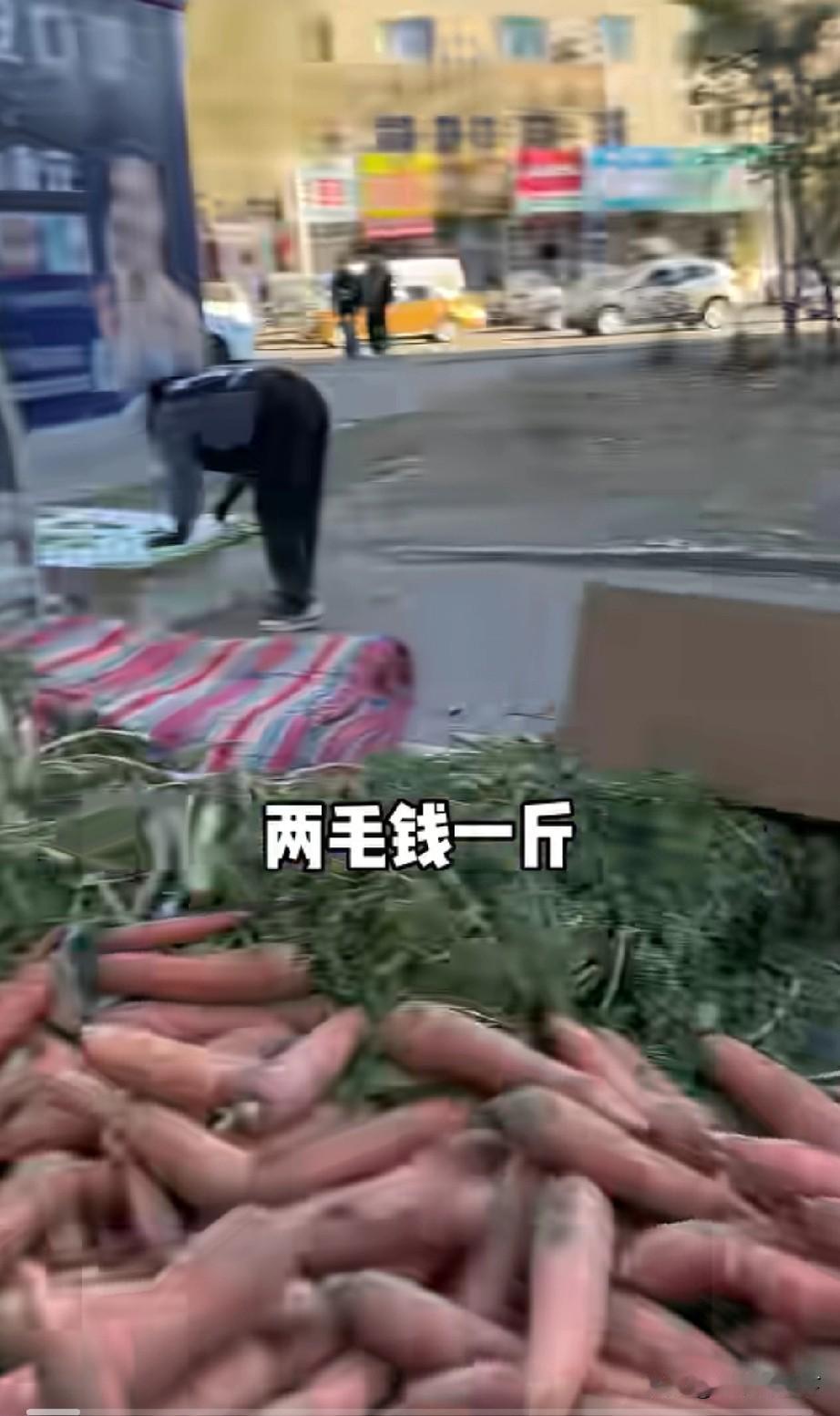 黑龙江省的物价应该是全国最低的了吧？实在太便宜了黑龙江700万网红老韩头逛早市