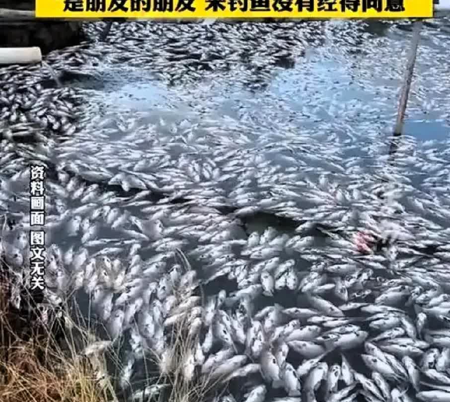 男子钓鱼遭高压电击倒，事后鱼塘主有理却难诉说。事情发生于7月1日，广西桂林七