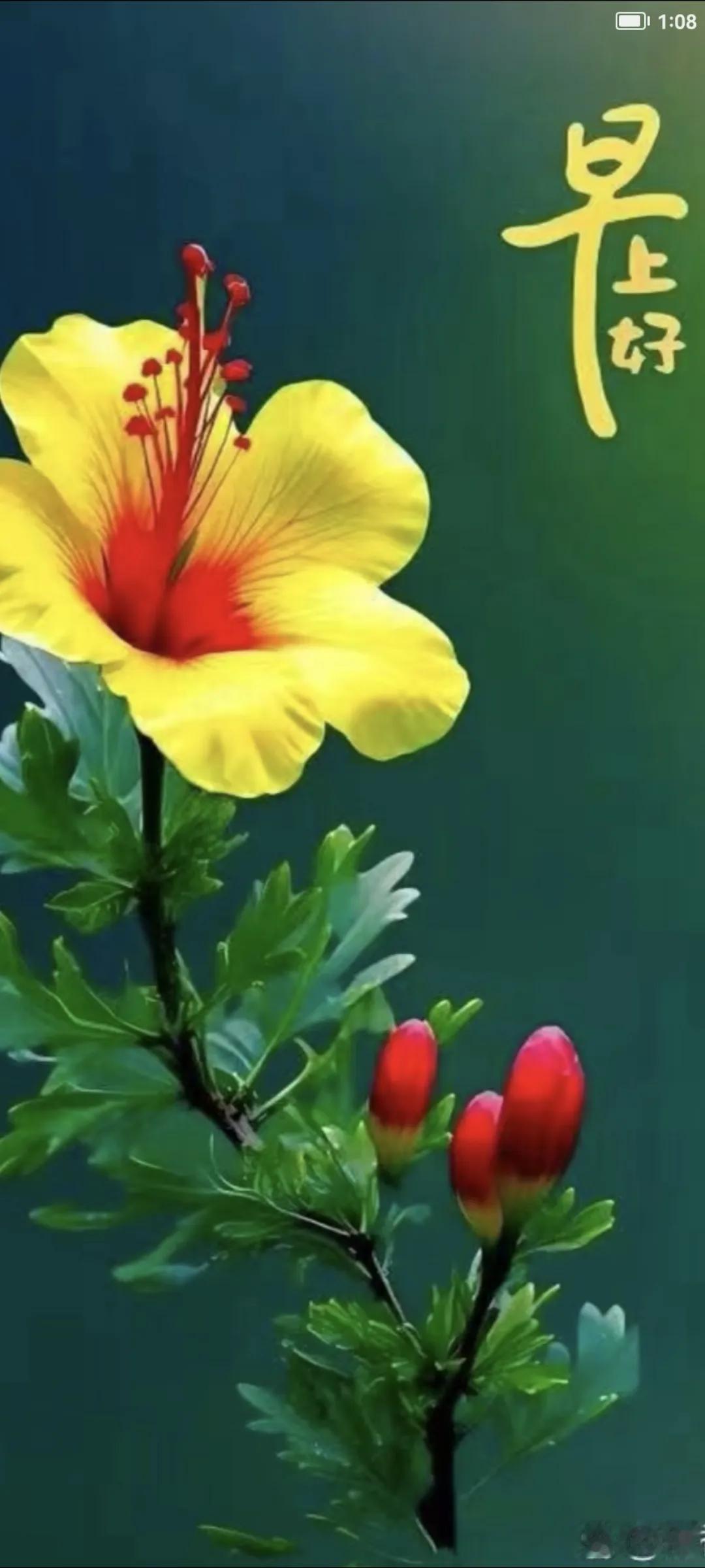 友友们上午好，人的命，天注定，这话真的千真万确，我孩子2018年在天津icon某