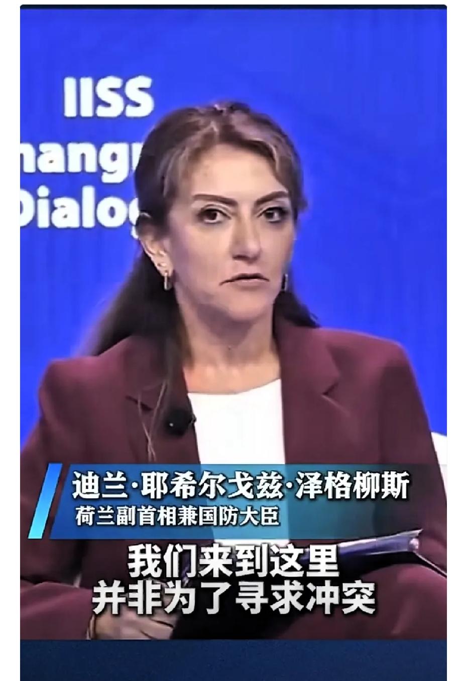 在31号的“香会”上，东方大国代表刘万侠大校发言时向荷兰副首相兼国防大臣迪兰·耶