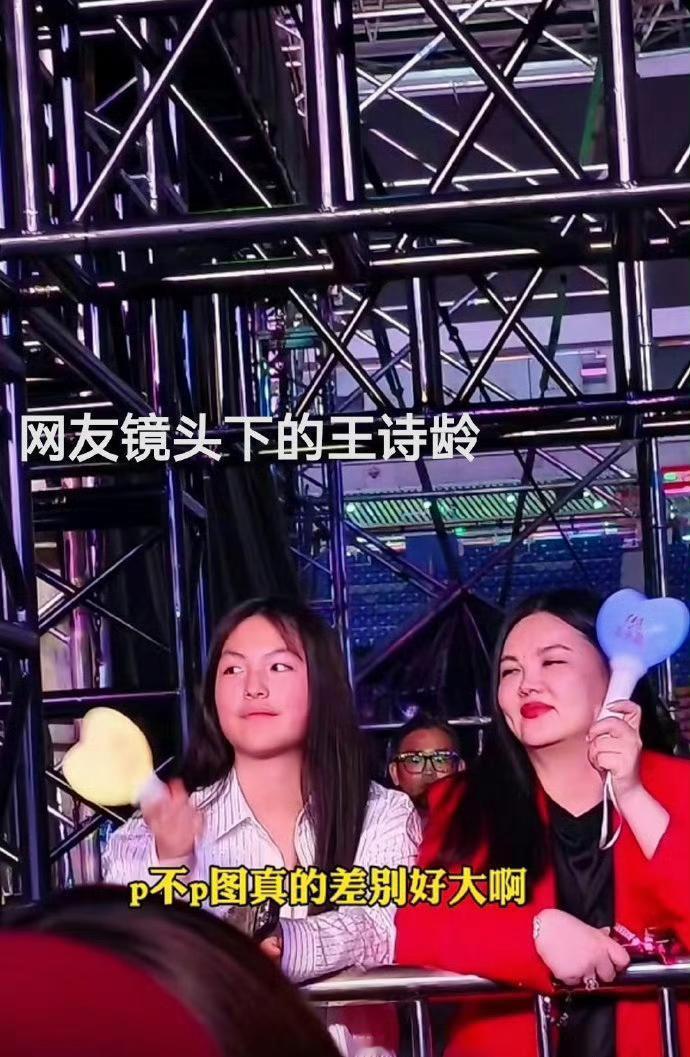 王诗龄小时候其实不算传统意义上的漂亮小孩——圆脸盘，小眼睛，笑起来还有点婴儿肥。
