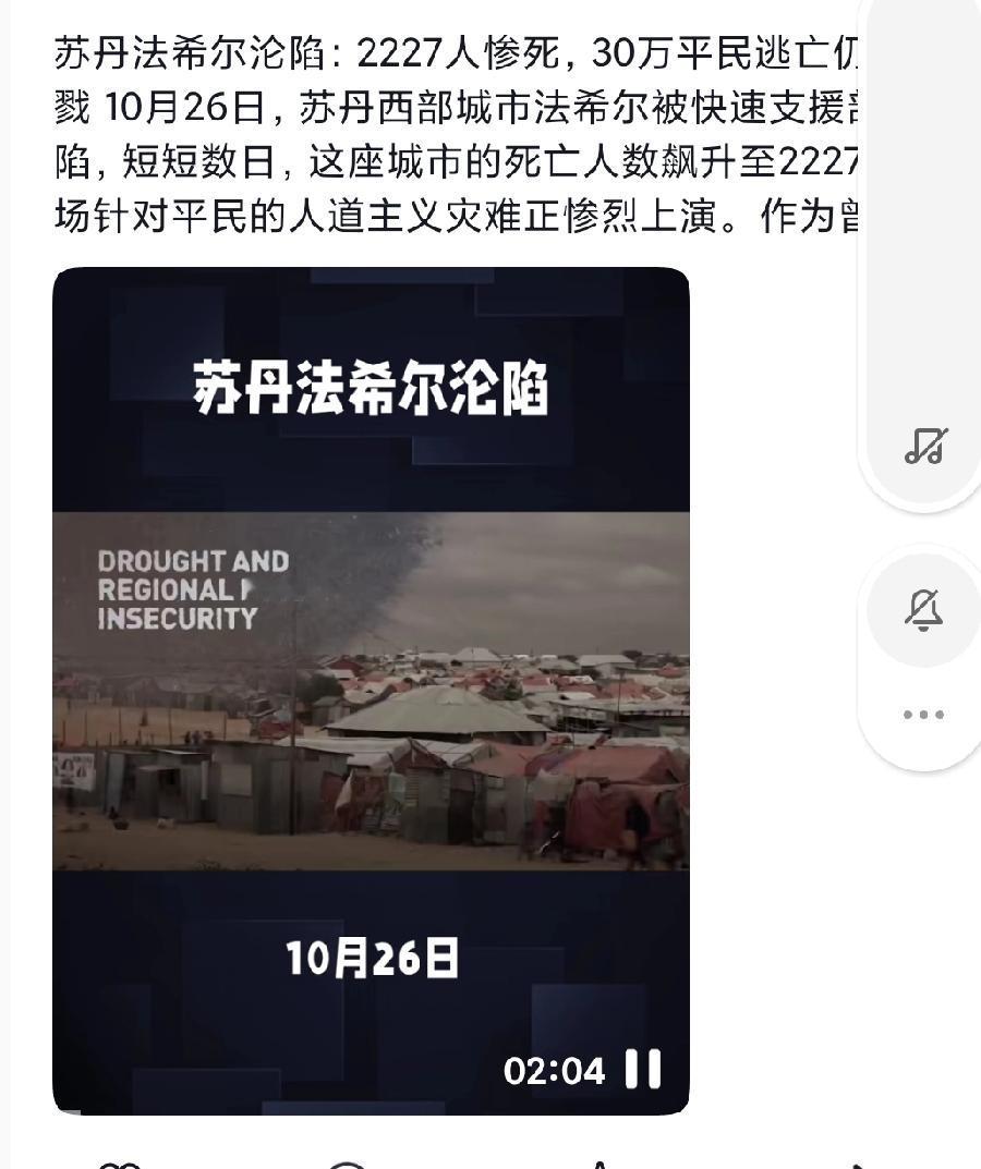 72小时2227人遇害！医院变屠场，30万难民生死未卜连续三天血腥清洗！苏丹法