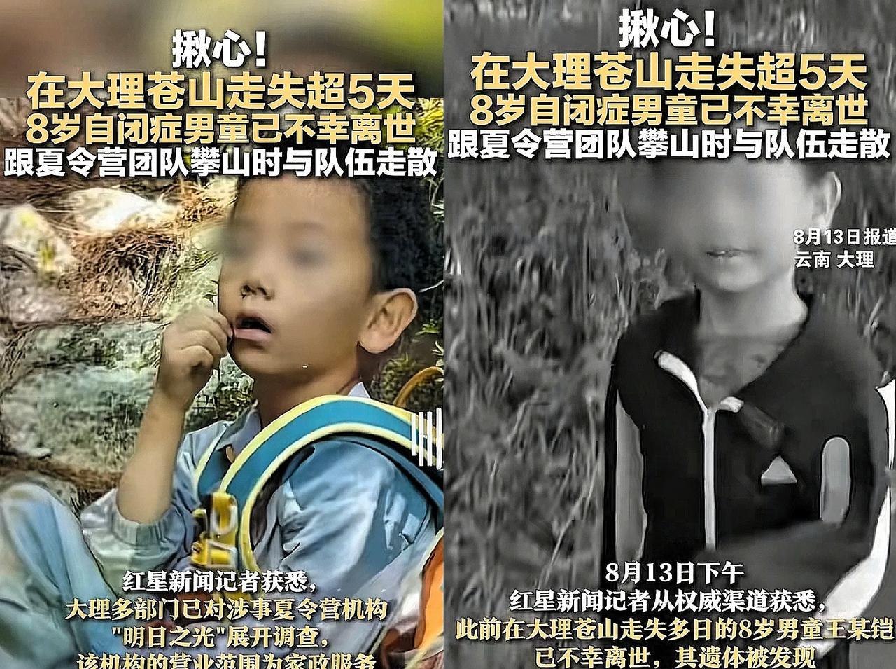 心像被攥住了云南苍山那个8岁的自闭症男孩找到了可小小的身子已经离开了！才