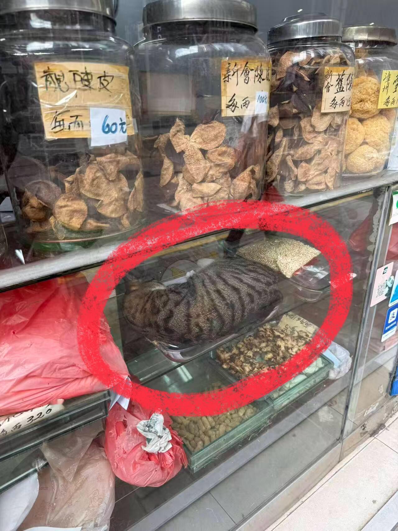 老板说这个药材可以治老鼠​​​