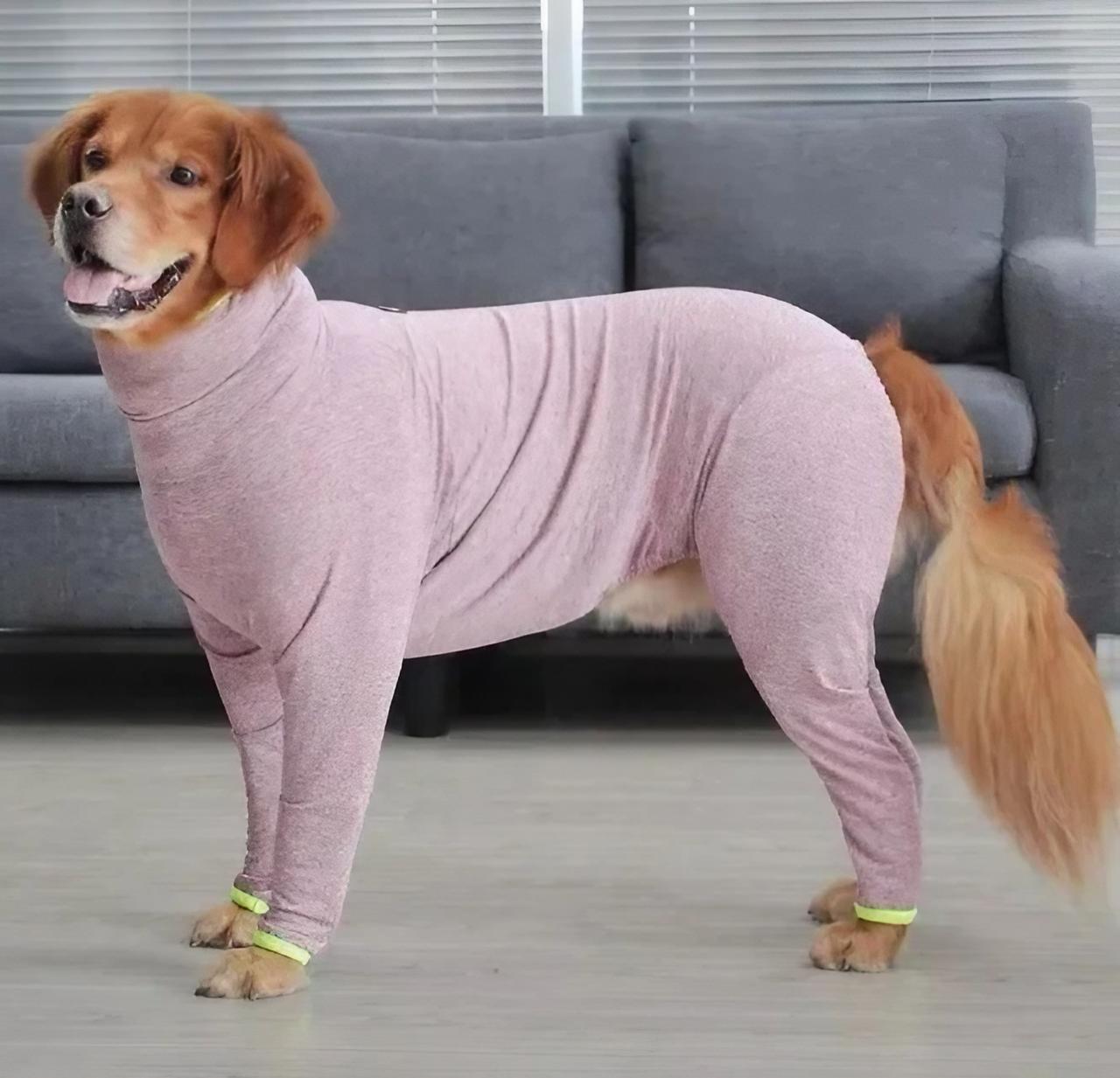 为什么某些富人宁愿养狗，却对自己父母不管不问！