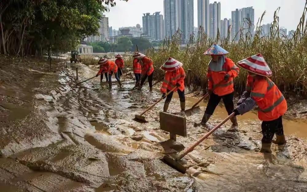 洪水过后，南宁邕江两岸的公园正在清理淤泥。这淤泥垃圾又全部清回河道，又堵上加